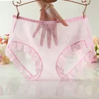Plus Size Ice Silk Sexy Mesh Korea Style Lady Traceless Seamless Underwear Panties For Women