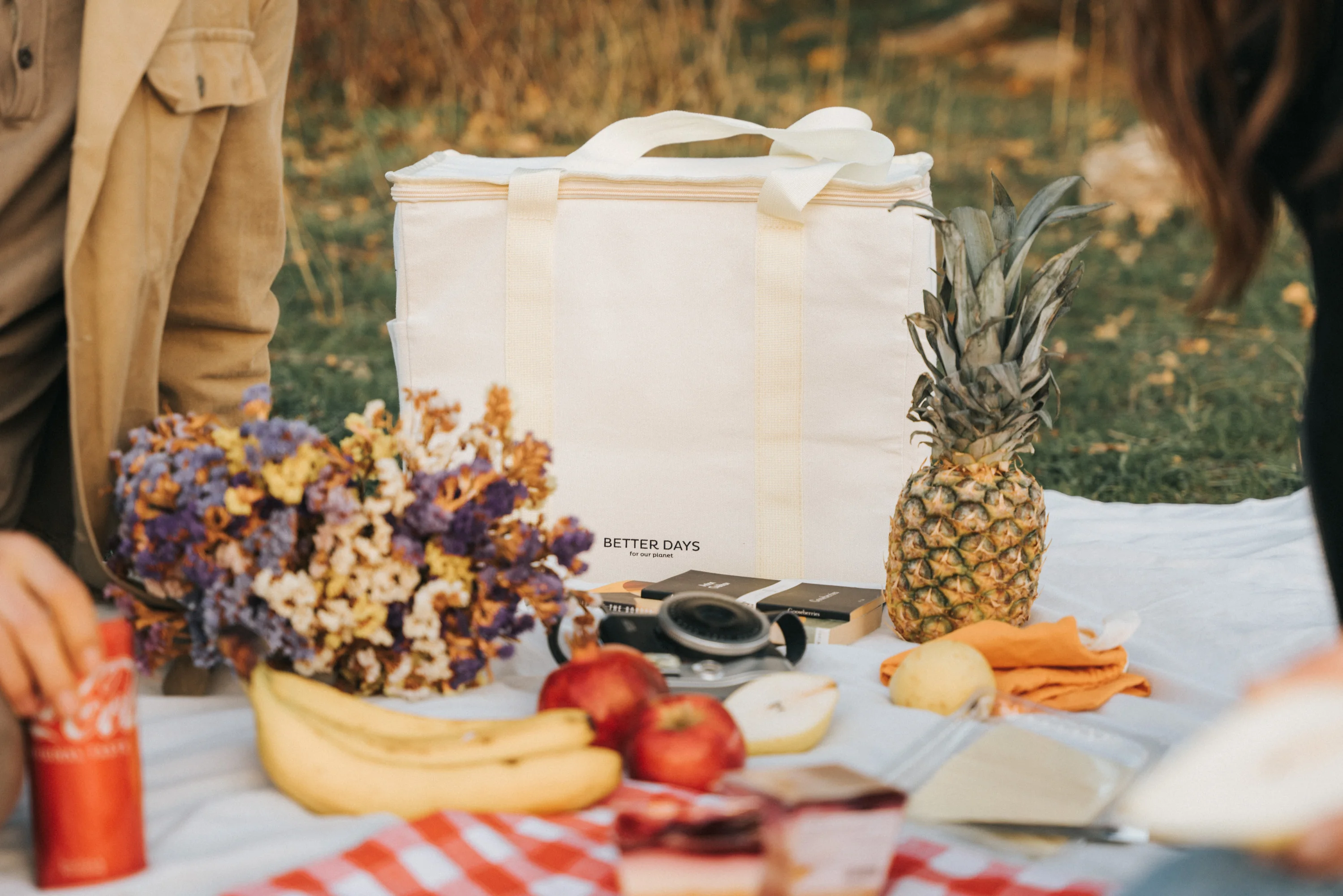 Custom Logo Shoulder Lunch Insulated Cooler Bag Beach Waterproof Cooler Tote Bag for Outdoor Sports manufacture