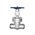 Reasonable Price Color Can Be Customized Rate 150LB To 2500LB Or Pn10 To PN420 Welded Gate Valve