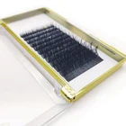 Eyelash Extension Wholesale Classic Eyelash Extension Trays With Custom Packaging Box