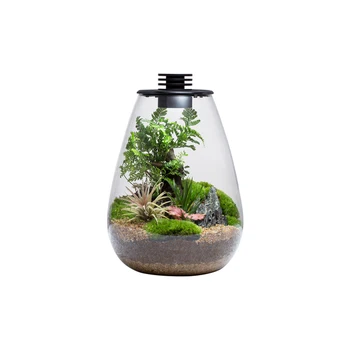 Biolark terrarium plant terrarium bottle terrarium glass with lid for plants decoration mossarium SD175/200