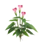 Calla Stock Artificial Flowers Calla Lily Bouquet Calla Lily Oil Painting Calla Lily Artificial Flowers
