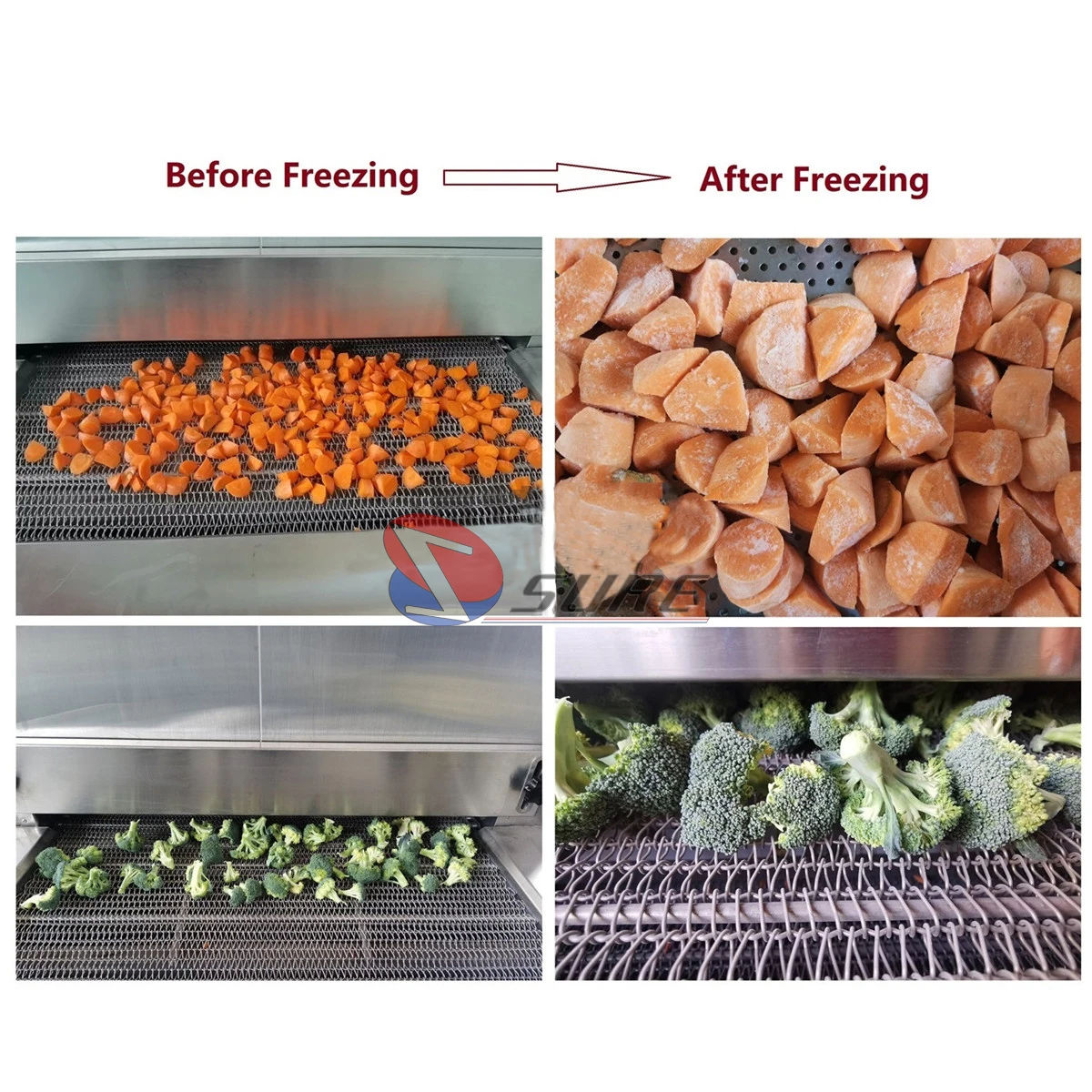 Blast Freezer, 100, 150, 200 - detail 6