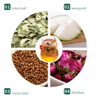 Tea Green Private Label Fitness Natural Herbs Tea Slimming Tea Detox Green Tea