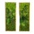 Interior Decorative Pieces Green Plants Home Decor Moss Wall Decor