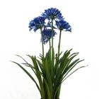 Purple Wedding Wholesale Cheap Artificial Flower Purple Color Daffodil For Home Wedding Party Hotel Decoration Flower
