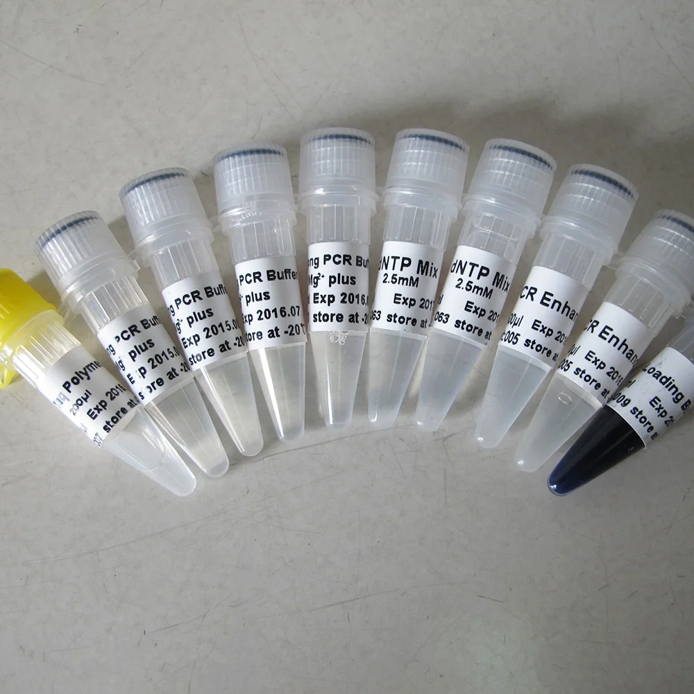 long taq dna polymerase long pcr p1064 1000u dntps buy dna polymerase polymerase long taq product on alibaba com