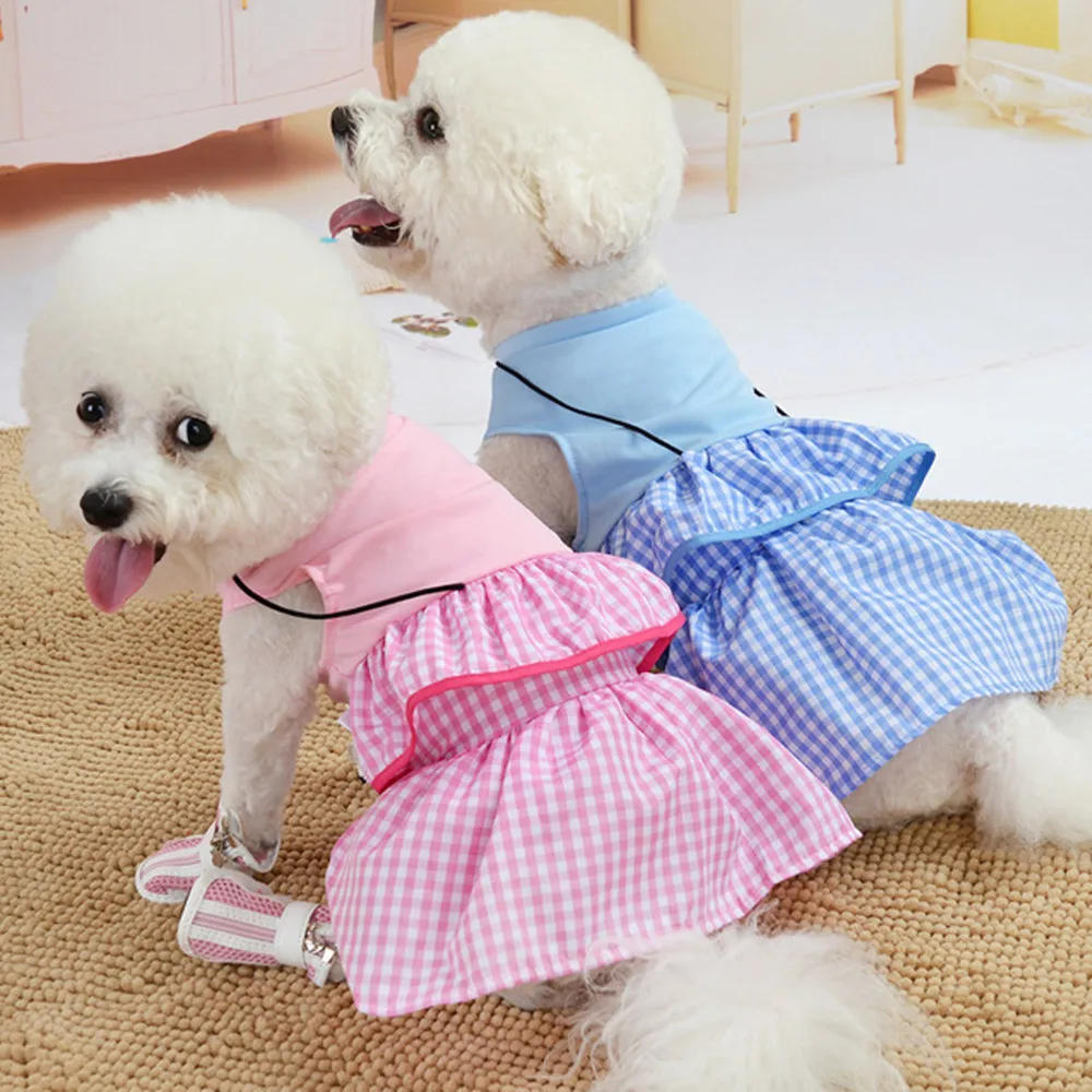 cool dog accessories