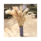 Colors Wedding Manufacturers Supply Customizable Colors Artificial Flower Reeds Used For Wedding