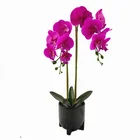 Plants Wholesale New Designed Real Touch Simulation Artificial Plants Colorful Flower Orchid For Home Decor