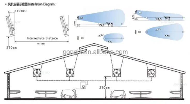 Calf Fan, 800mm, 1000mm, 1200mm - detail 22