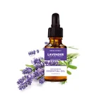 Oil Aromatherapy 100% Tea Tree Oil Pure 25g China