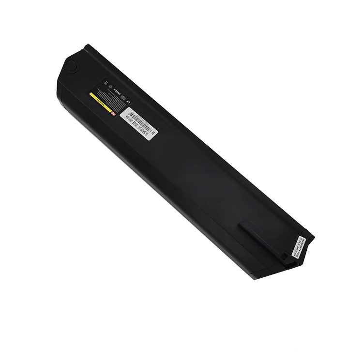 48v20ah 21ah Dorado Baterai Reention 