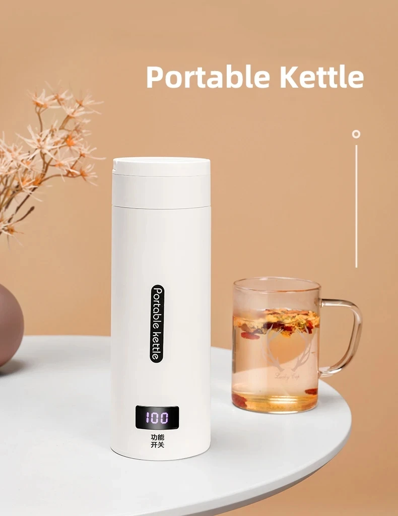 Portable 500ML Electric Kettle Portable Heating Thermal Mug Water Tea Boiler Camping Car Designed Teapot Heating Cup Box Kitchen