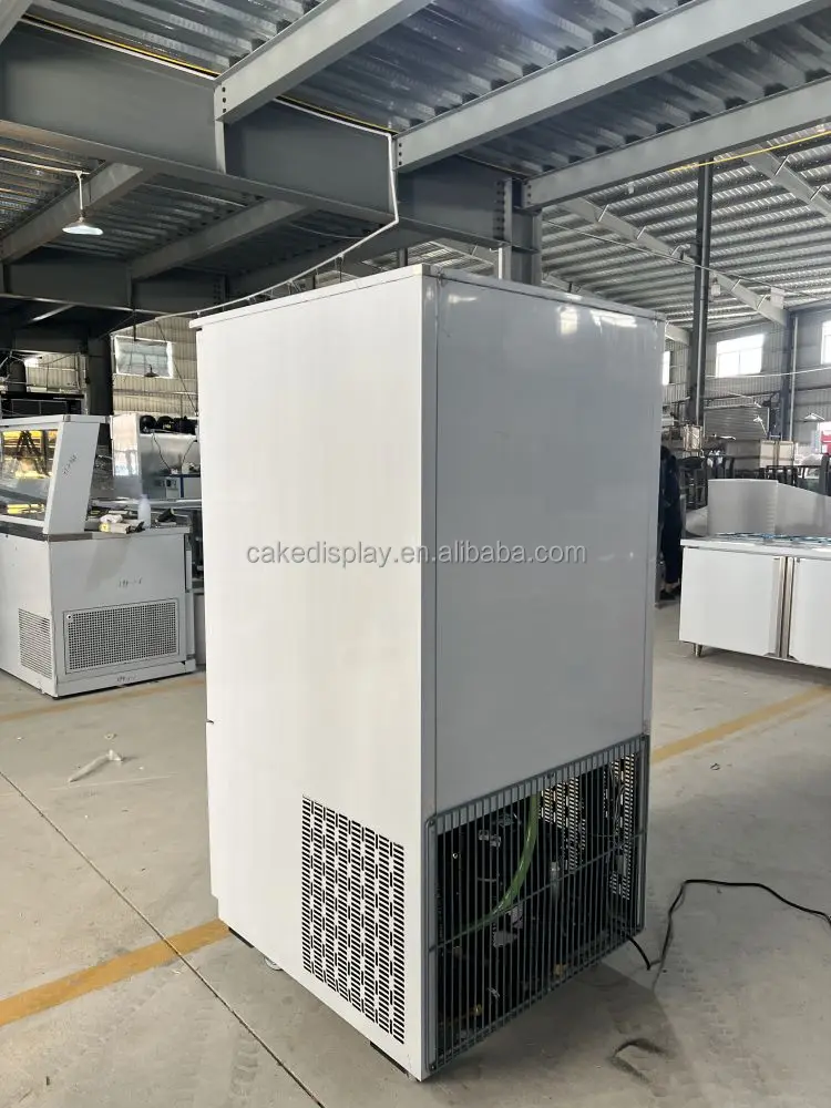 -40 Temp Blast Chiller, Stainless, Steel - detail 30