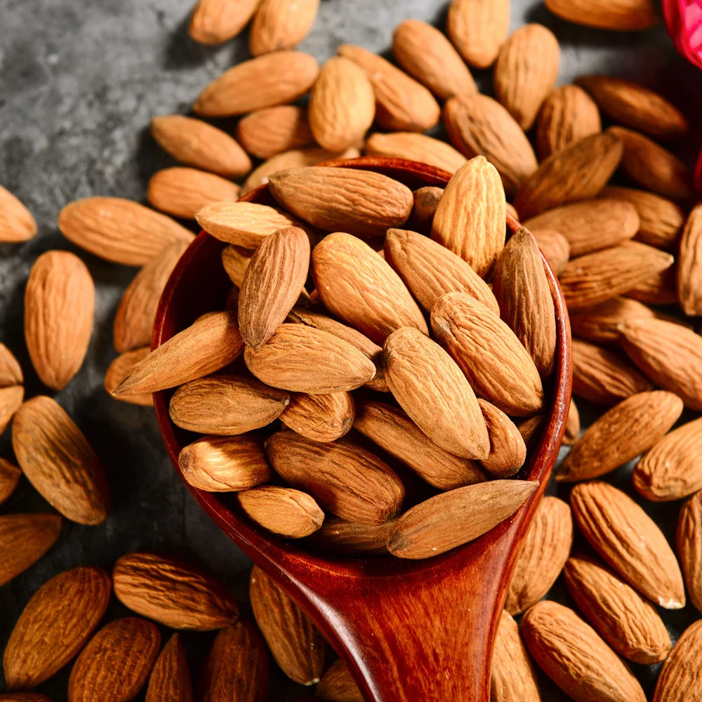 Organic Unshelled Roasted Almonds Freshly Picked Sweet Almond Nuts Hot Sale Food Grade Bulk Export Raw Almonds Natural Color