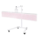 Facial 2021 Full Body Skin Care 660nm 850nm Infrared Facial Red Light Therapy