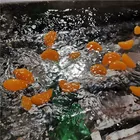 Fruit 8oz Snack Cup Hot Selling Canned Mandarin Oranges In Light Syrup With Fresh Citrus Fruit