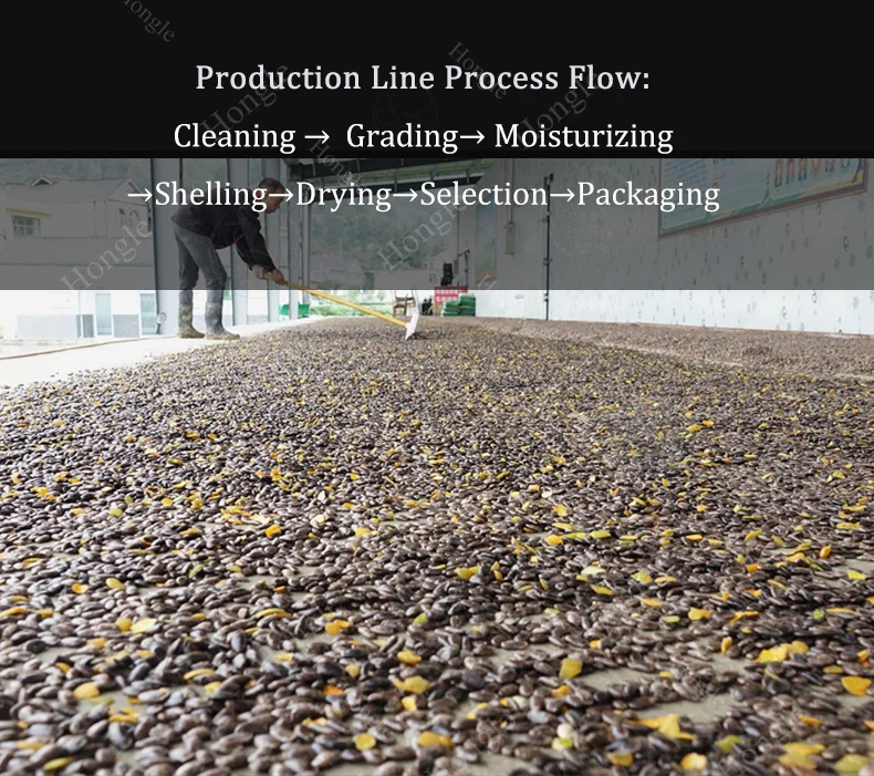 High Efficiency Pumpkin Seed Shelling Machine / Automatic Seed Peeling and Husk Removal Equipment manufacture