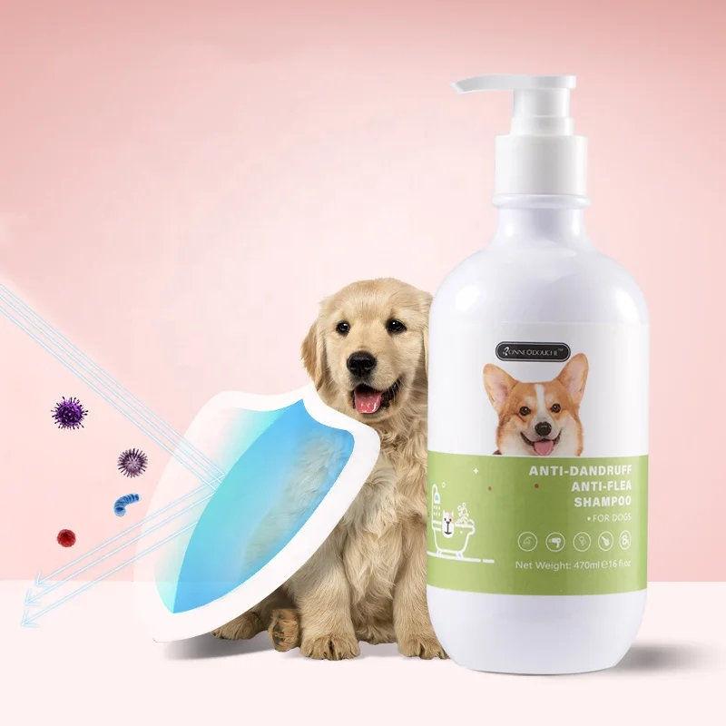 how do you make antifungal shampoo for dogs