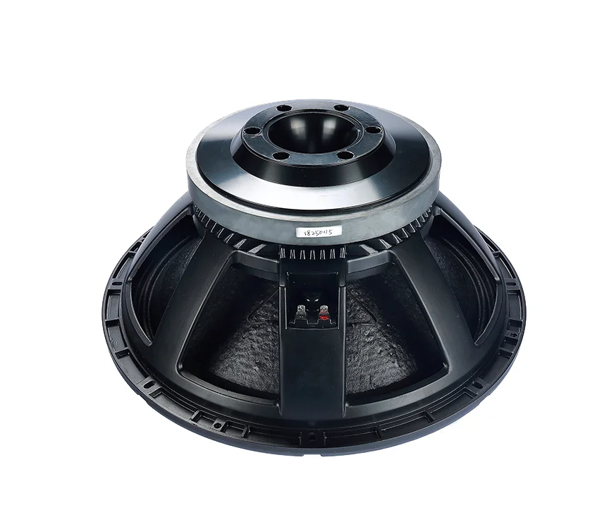 speaker 18 inch low sub