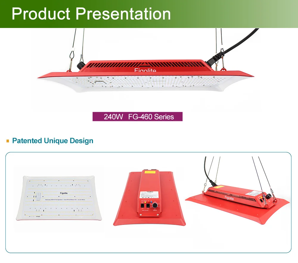 Figolite 240w Samsung Board Original Lm301h Led Grow Light With Creexpe