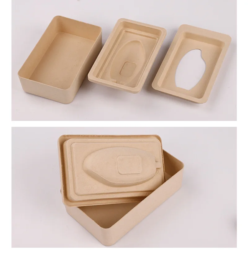 Eco Friendly Biodegradable Sugarcane Bagasse Paper Pulp Molded Moulding