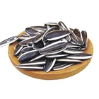Seed Seeds Competitive Price New Crop Good Quality Seed Big Size Natural Sunflower Seeds For Sale