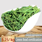 Green Tea Chinese Alpine Green Tea Anhui Green Tea Spring Tea