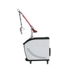 Laser Laser Tattoo Laser Removal Hot Selling Pico Laser 500 Ps Different Color Of Tattoo Removal Machine