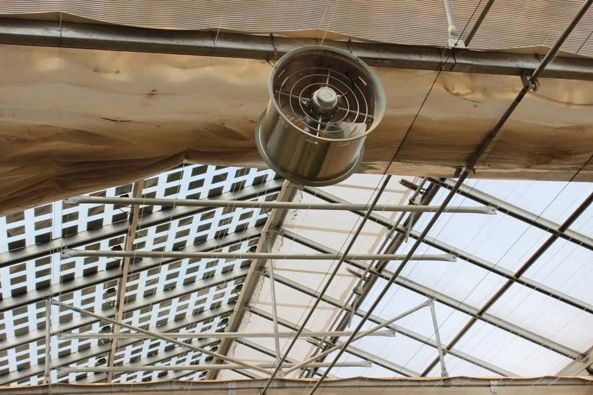 Cooling Ventilation Exhaust Fan, 400/500/600mm, 16inch, 20inch - detail 6
