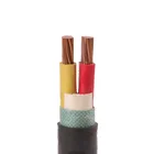 Pvc Cable Pvc Pvc Cable 0.6/1kv Multi Core Copper Conductor XLPE Insulated PVC Sheathed N2XY Power Cable