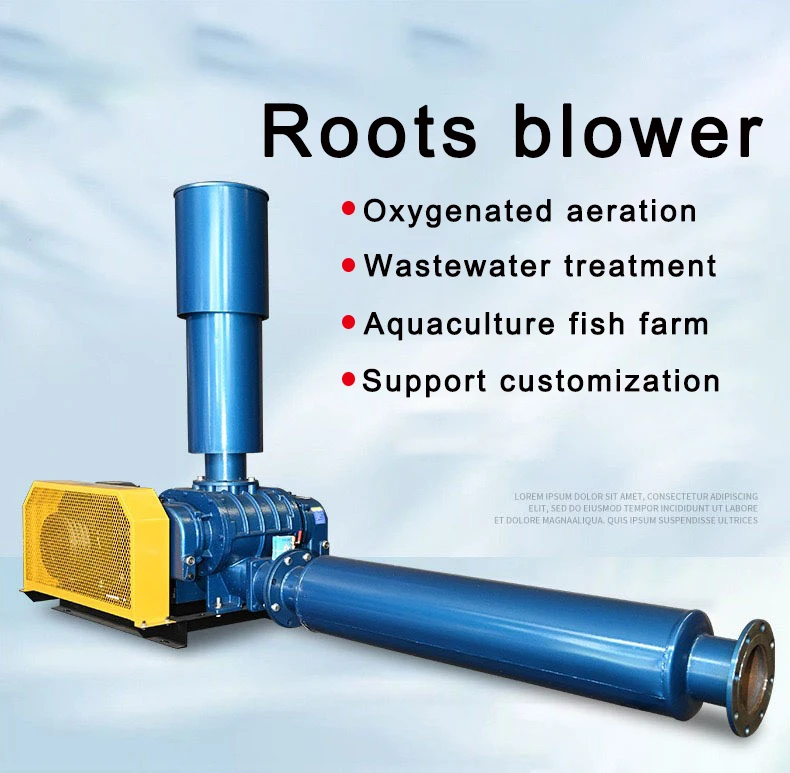 Roots Blower, 110-240V, 0.44m³ - detail 2