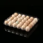 Egg Tray Pvc For Egg Plastic Tray For Eggs 30 Holes Egg Tray PVC Material Plastic Egg Packaging For Sale