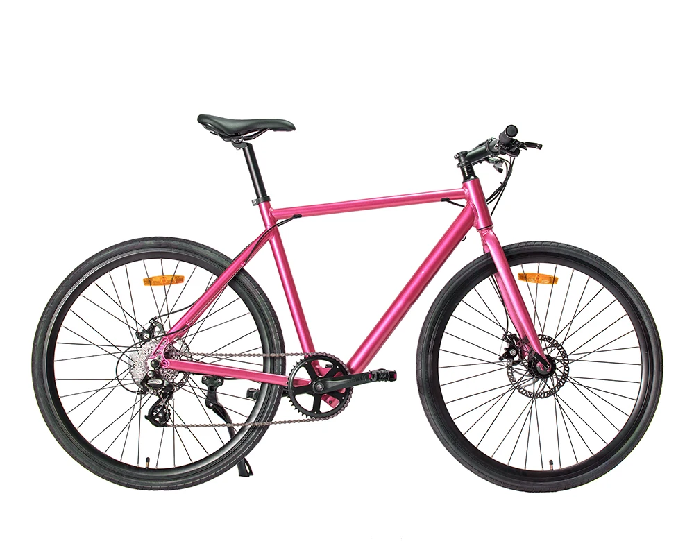 36v 250w Hidden Battery Electric Bike 