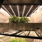 Led Light Manufacturer China Personalized Brand Full Spectrum Complete Tent Led Grow Light Manufacturer China