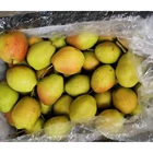 Pears Pear 2020 Crop High Quality Red Fragrant Pears