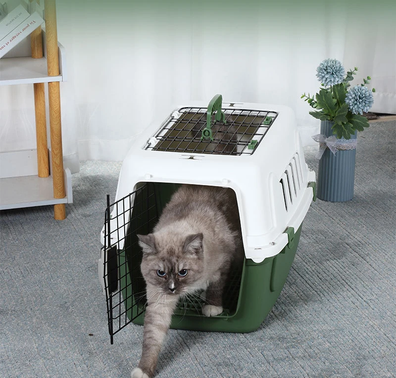 Wholesale Hot Sale Large Size Pet Travel Carrier with Window Portable Pet Airline Approved Carrier Pet Supplies factory