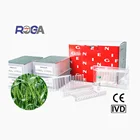 Magnetic Beads Plant Genomic DNA Kit Magnetic Beads