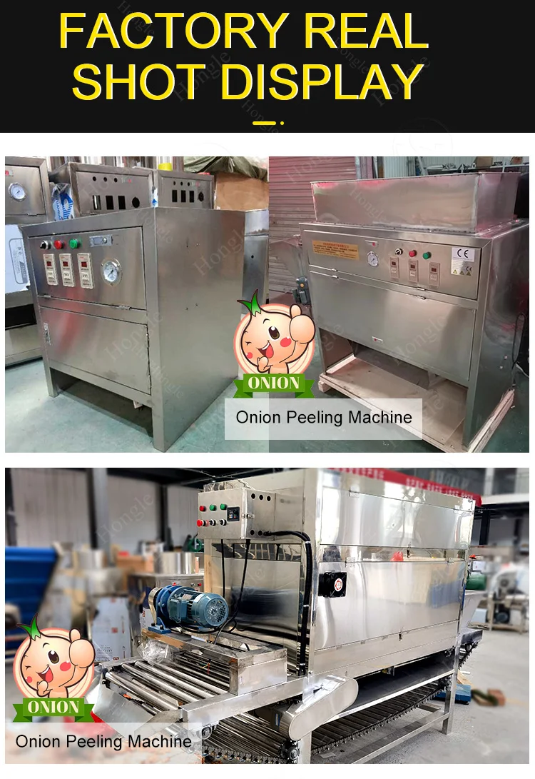 New Plant Machine for Dry Onion Rings Production 500 Kg/H Calibration Line Square Cutting Featuring Core Motor PLC factory