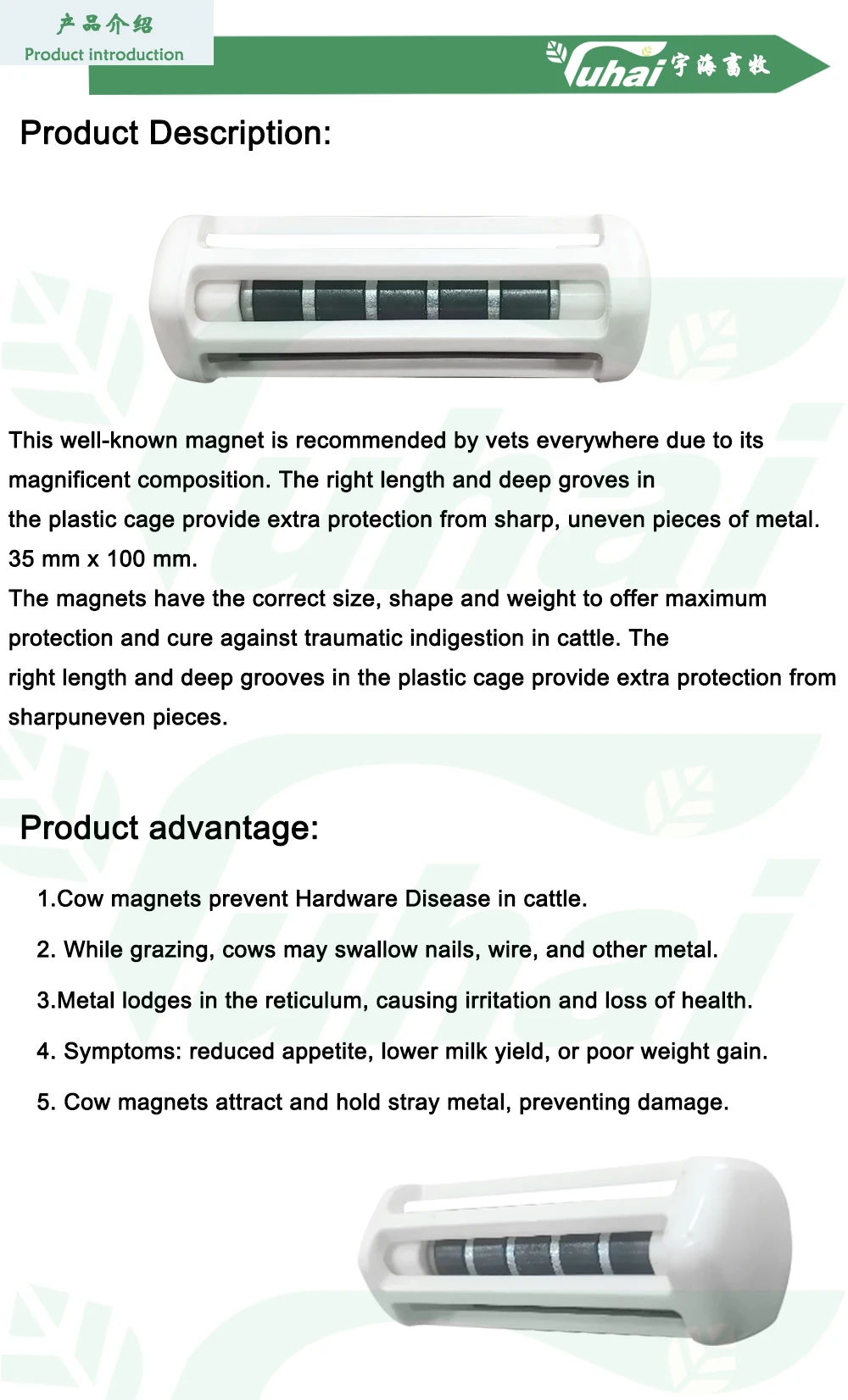 cattle ruminal magnet dairy cow cattle farm strong magnetic cage put into cow stomach iron sucker-0