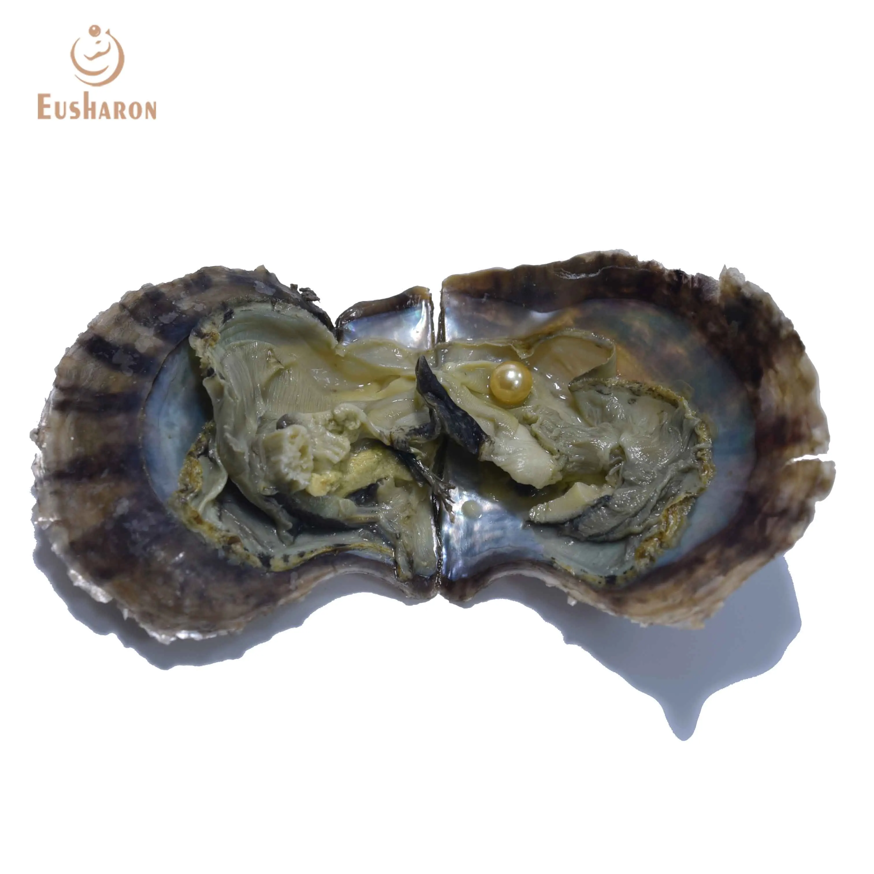 Freshwater Natural Oyster Pearl Variety 