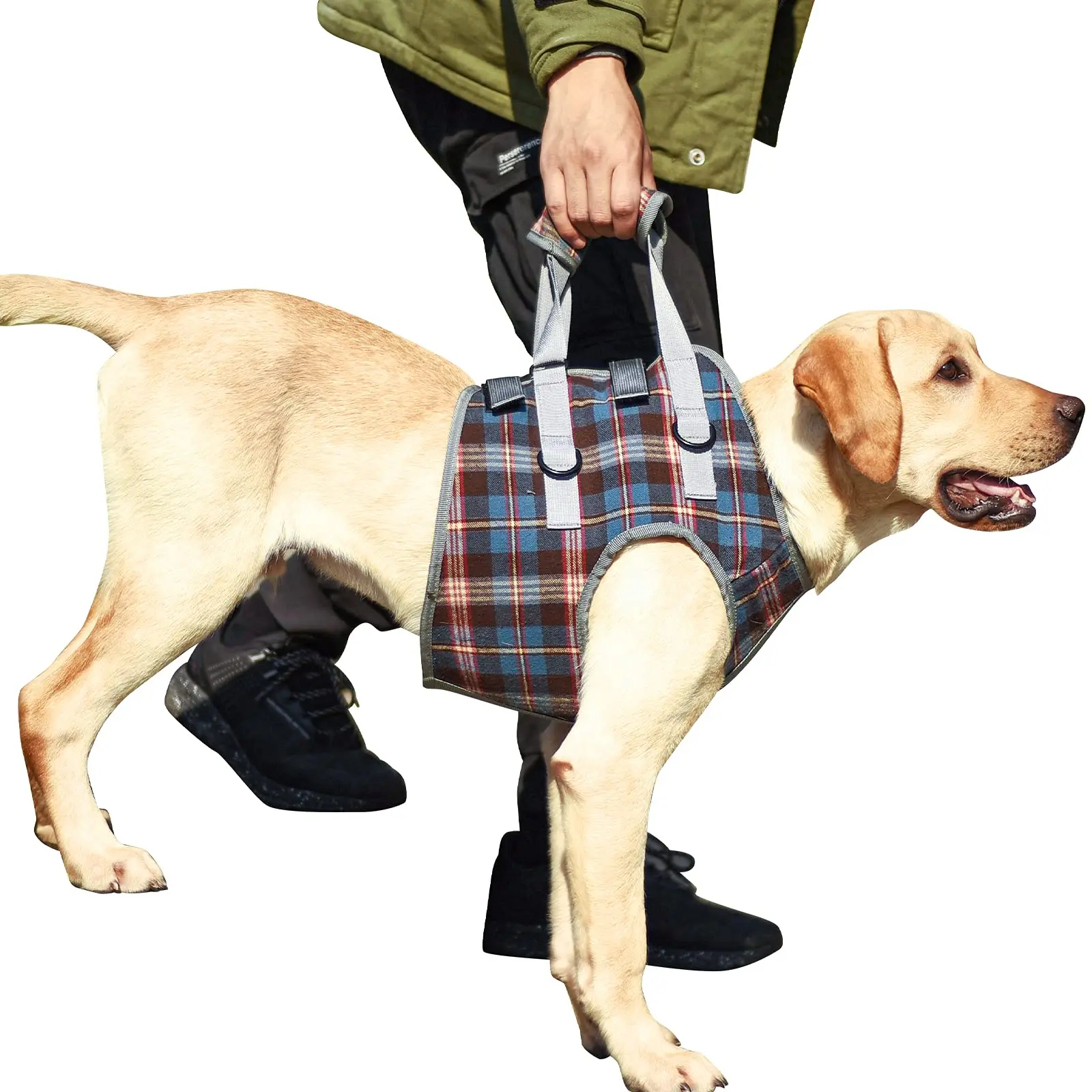 harness sling for dogs