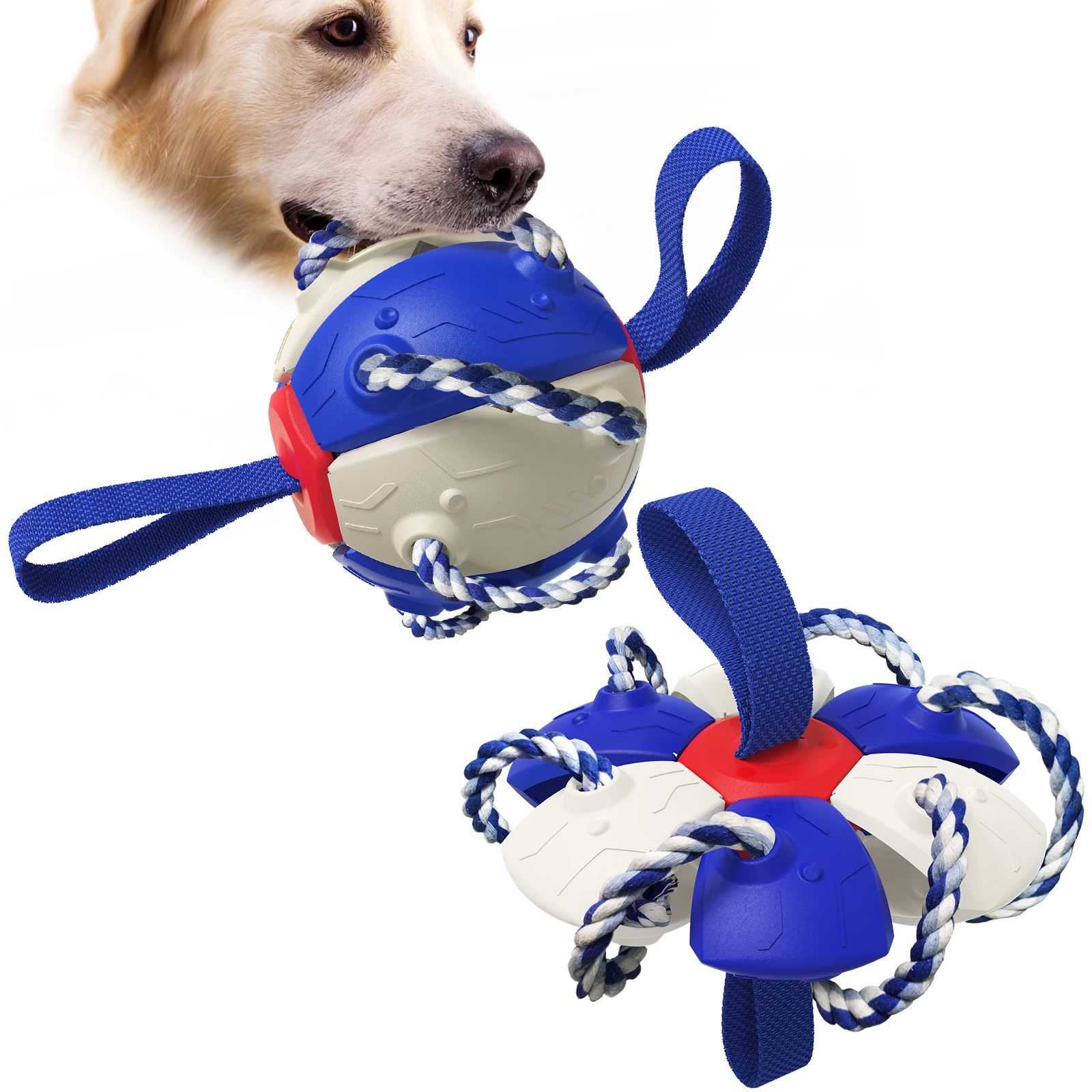 what is the best color for a dog toy