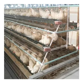 Hens Cage for Hens Egg Layer Cage Laying Eggs Galvanized Wire Mesh Chicken Multifunctional Provided Chicken Coop 2.5-4.0 Mm