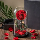 Rose Wholesale Real Eternal Rose In Led Light Glass Dome High Quality Preserved Rose Perfect Birthday Valentines Day Gifts