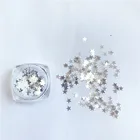 Nail Free Sample New Design Glitter Dip Powder Mixed 3D Silver Nail Sequins For Makeup Accessories