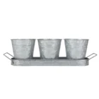 Metal Pot Galvanized Decorative Mini Metal Flower Pot Set 3