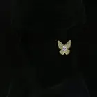 Dangle Online Shopping Sexy Big Accessories Butterfly Star Acrylic Colorful Dangle Earrings For Women