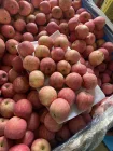 Fuji Apple Apple Fresh Fuji Apple Lowest Price Chinese Red Fuji Apple